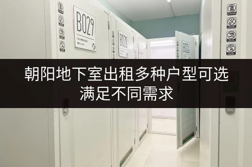 朝阳地下室出租多种户型可选满足不同需求