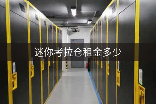 迷你考拉仓租金多少，迷你考拉仓储