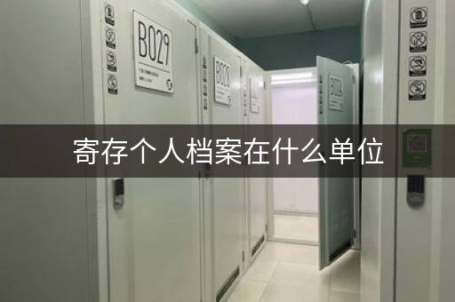 寄存个人档案小仓库，自助迷你仓可以存放档案文件资料