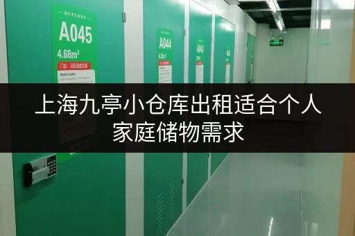 上海九亭小仓库出租适合个人家庭储物需求