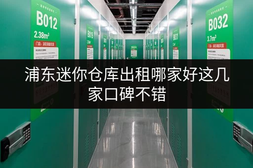 浦东迷你仓库出租哪家好这几家口碑不错