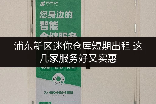 浦东新区迷你仓库短期出租 这几家服务好又实惠