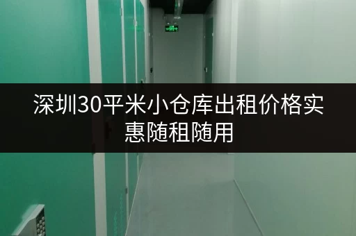 深圳30平米小仓库出租价格实惠随租随用