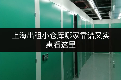 上海出租小仓库哪家靠谱又实惠看这里