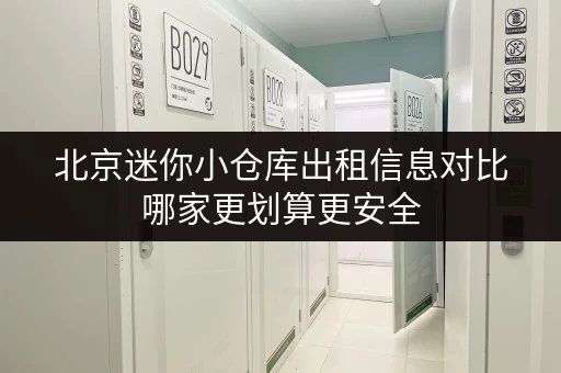 北京迷你小仓库出租信息对比哪家更划算更安全