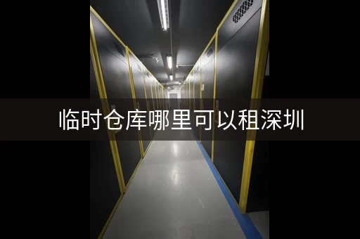 临时仓库哪里可以租深圳，迷你考拉仓储物柜租赁
