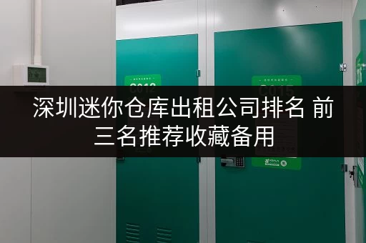 深圳迷你仓库出租公司排名 前三名推荐收藏备用