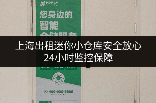 上海出租迷你小仓库安全放心24小时监控保障