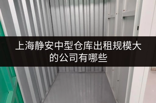 上海静安中型仓库出租规模大的公司有哪些