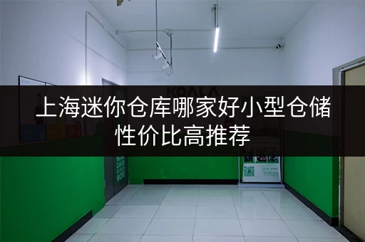 上海迷你仓库哪家好小型仓储性价比高推荐