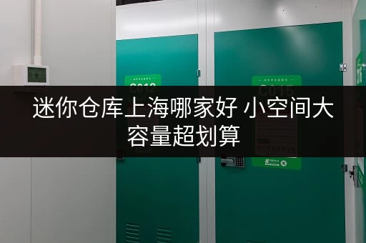 迷你仓库上海哪家好 小空间大容量超划算