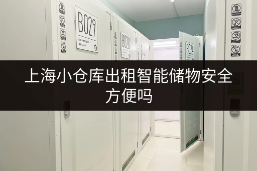 上海小仓库出租智能储物安全方便吗