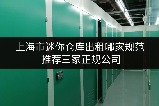 上海市迷你仓库出租哪家规范 推荐三家正规公司