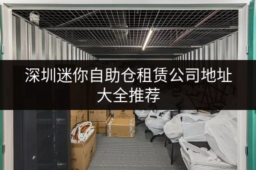 深圳迷你自助仓租赁公司地址大全推荐