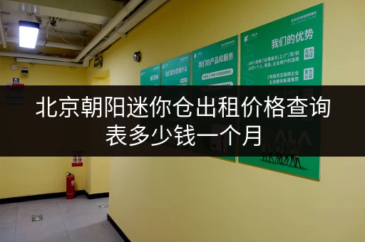北京朝阳迷你仓出租价格查询表多少钱一个月