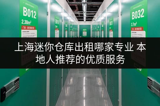 上海迷你仓库出租哪家专业 本地人推荐的优质服务