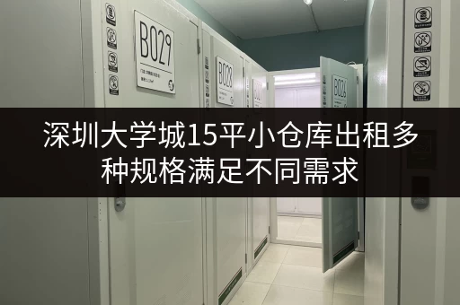 深圳大学城15平小仓库出租多种规格满足不同需求