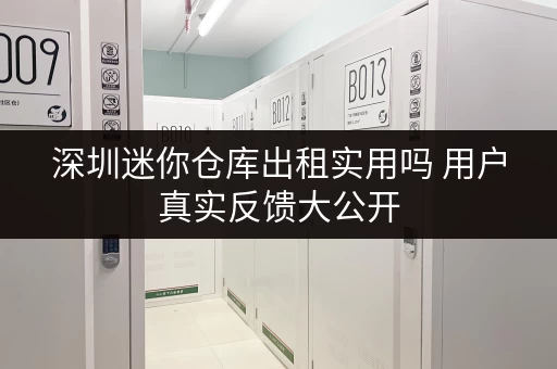 深圳迷你仓库出租实用吗 用户真实反馈大公开