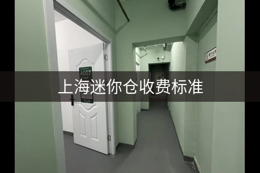 上海迷你仓收费标准，上海迷你仓储价格走势