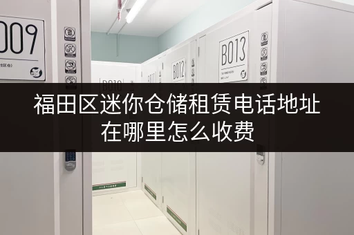 福田区迷你仓储租赁电话地址在哪里怎么收费
