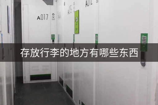 存放行李的地方有哪些东西，哪里可以长期存放私人物品
