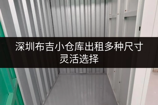 深圳布吉小仓库出租多种尺寸灵活选择