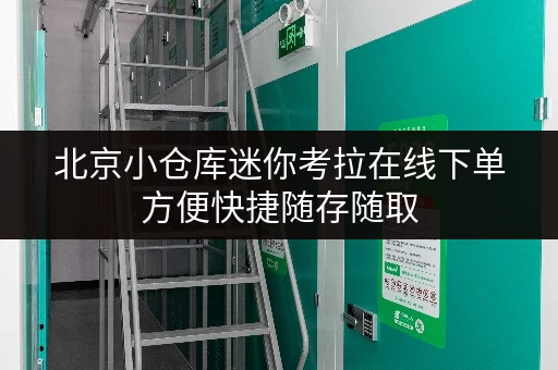 北京小仓库迷你考拉在线下单方便快捷随存随取