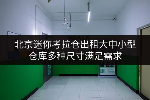 北京迷你考拉仓出租大中小型仓库多种尺寸满足需求 北京迷你考拉仓出租大中小型仓库多种尺寸满足需求