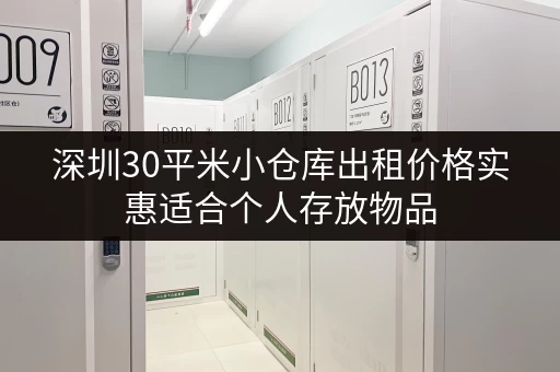 深圳30平米小仓库出租价格实惠适合个人存放物品 深圳30平米小仓库出租价格实惠适合个人存放物品
