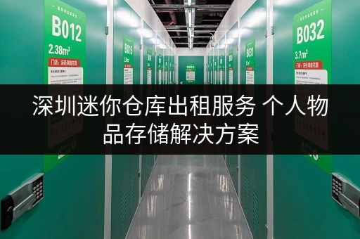 深圳迷你仓库出租服务 个人物品存储解决方案