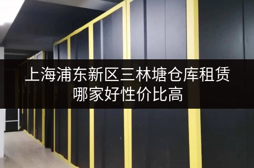 上海浦东新区三林塘仓库租赁哪家好性价比高