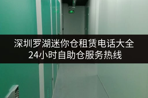 深圳罗湖迷你仓租赁电话大全 24小时自助仓服务热线
