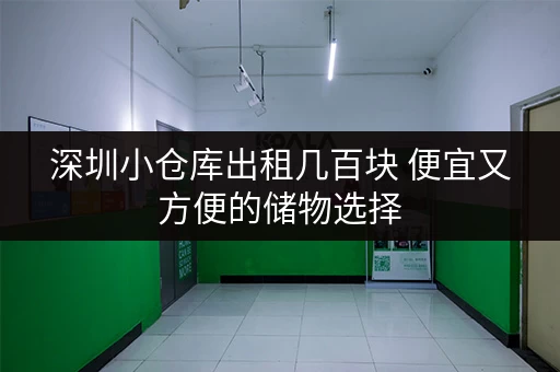 深圳小仓库出租几百块 便宜又方便的储物选择