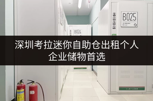 深圳考拉迷你自助仓出租个人企业储物首选 深圳考拉迷你自助仓出租个人企业储物首选