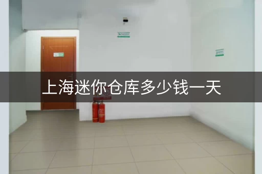 上海迷你仓库多少钱一天，上海的迷你仓
