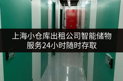 上海小仓库出租公司智能储物服务24小时随时存取