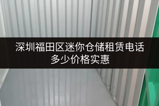 深圳福田区迷你仓储租赁电话多少价格实惠