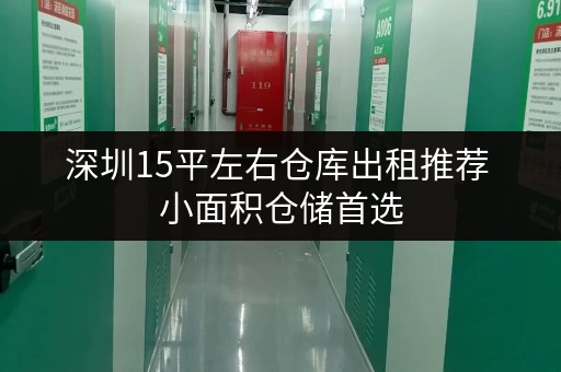 深圳15平左右仓库出租推荐 小面积仓储首选