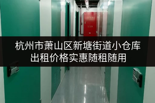 杭州市萧山区新塘街道小仓库出租价格实惠随租随用 杭州市萧山区新塘街道小仓库出租价格实惠随租随用