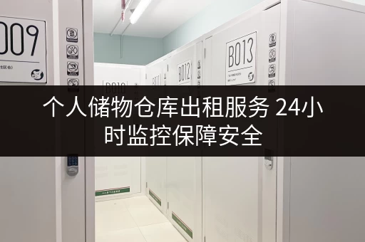 个人储物仓库出租服务 24小时监控保障安全