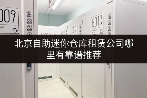 北京自助迷你仓库租赁公司哪里有靠谱推荐