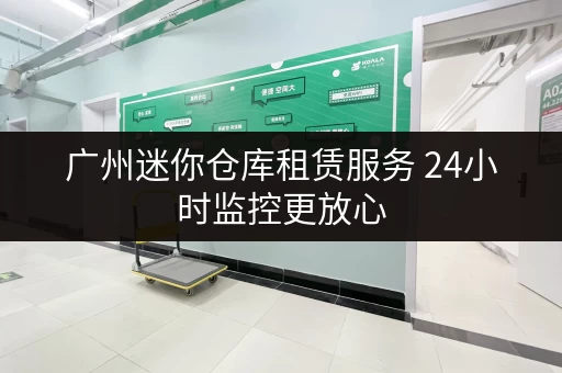 广州迷你仓库租赁服务 24小时监控更放心
