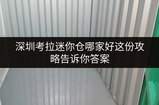 深圳考拉迷你仓哪家好这份攻略告诉你答案 深圳考拉迷你仓哪家好这份攻略告诉你答案