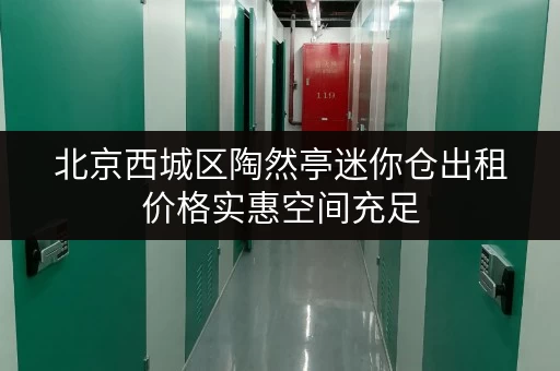 北京西城区陶然亭迷你仓出租价格实惠空间充足