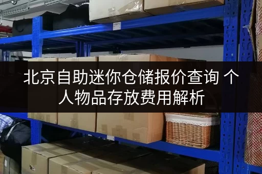 北京自助迷你仓储报价查询 个人物品存放费用解析