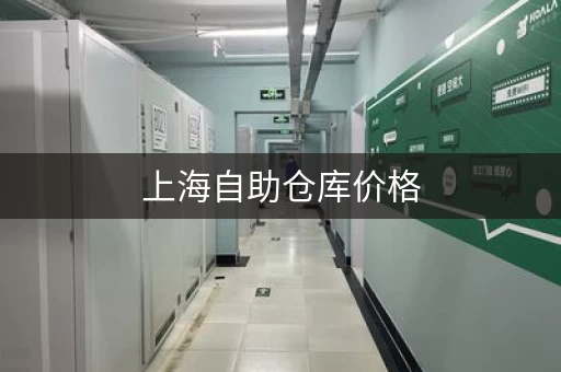 上海自助仓库价格，上海自助仓库多少钱一个月