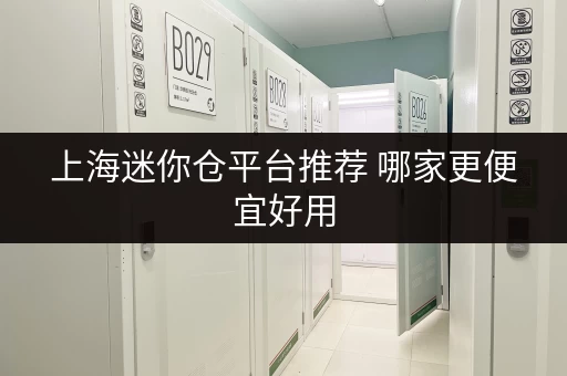 上海迷你仓平台推荐 哪家更便宜好用