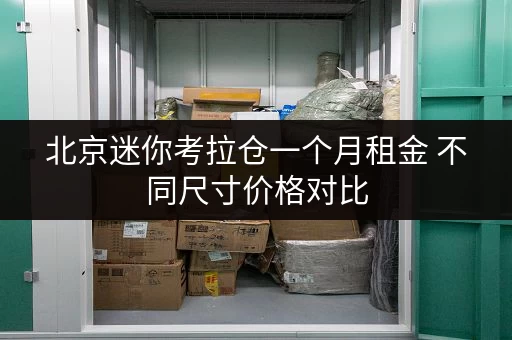 北京迷你考拉仓一个月租金 不同尺寸价格对比 北京迷你考拉仓一个月租金 不同尺寸价格对比