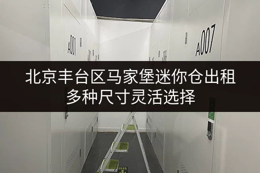 北京丰台区马家堡迷你仓出租多种尺寸灵活选择 北京丰台区马家堡迷你仓出租多种尺寸灵活选择