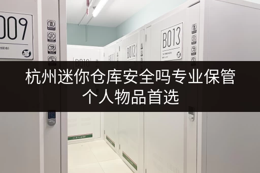 杭州迷你仓库安全吗专业保管个人物品首选